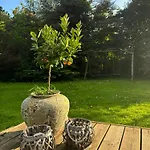 Summer House With Beautiful Interior Details Vejby