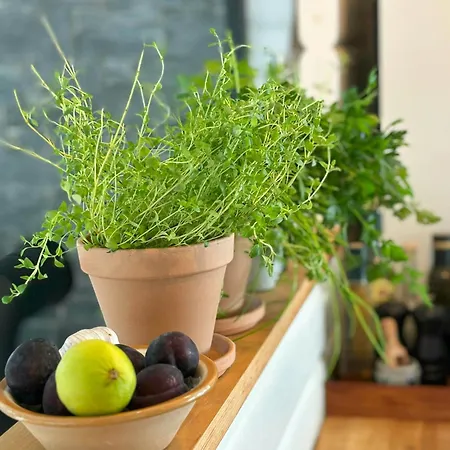 Summer House With Beautiful Interior Details *