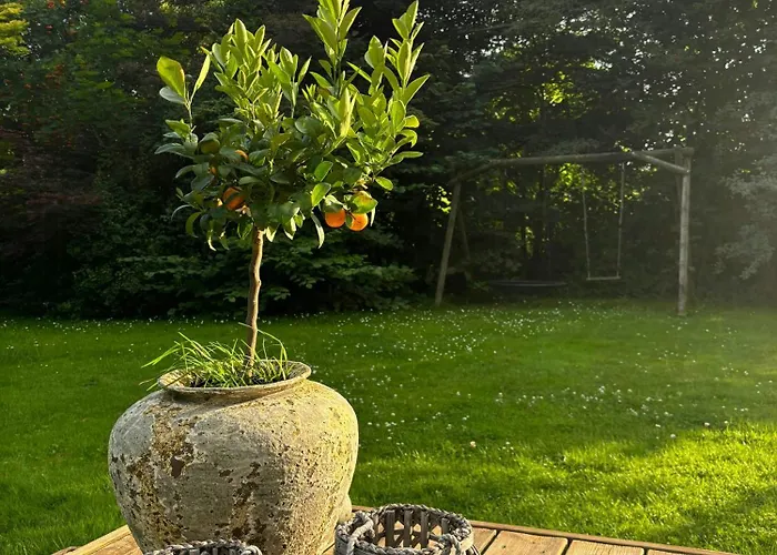 Summer House With Beautiful Interior Details Vejby