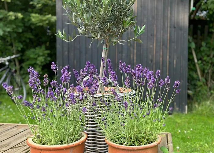 Summer House With Beautiful Interior Details Дом отдыха Vejby