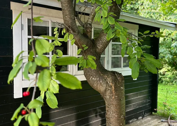 Summer House With Beautiful Interior Details Vejby