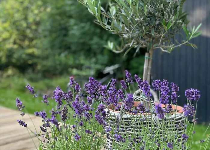 Summer House With Beautiful Interior Details Дом отдыха *